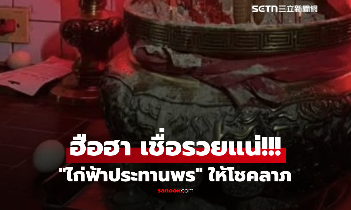 รวยแน่! ชาวบ้านฮือฮา "ไก่ทองคำ" โผล่ให้โชค วางไข่ใน "เตาเผากระดาษเงิน" ของศาลเจ้า!!!
