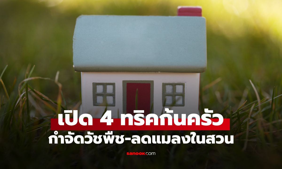 ไม่ต้องใช้สารเคมี! เผย 4 ทริคก้นครัว กำจัดวัชพืช-ลดแมลงในสวน อย่างปลอดภัย