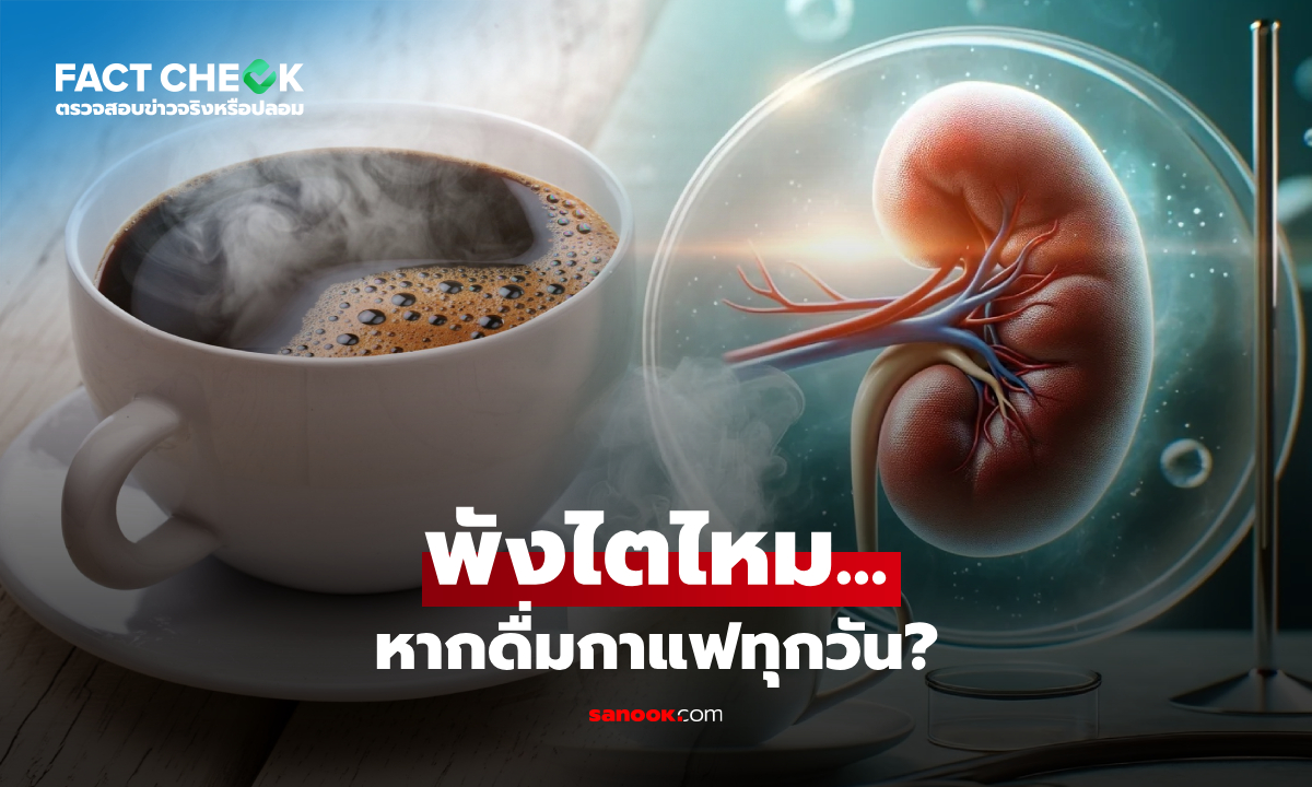 ดื่มกาแฟทุกวัน เร่ง "ไตพัง" จริงหรือไม่? ผู้เชี่ยวชาญมีคำตอบชัดแล้ว : เช็กข่าวชัวร์