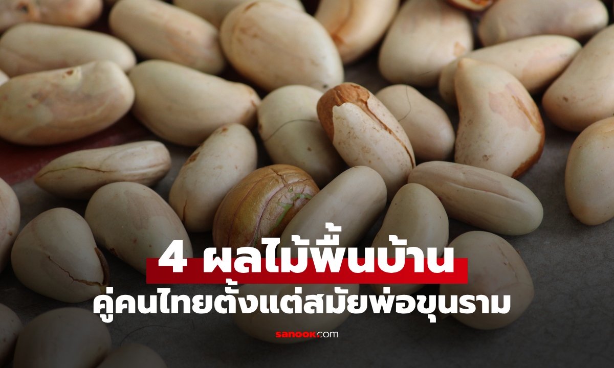 4 ผลไม้พื้นบ้าน ประโยชน์ดีๆ ใกล้ตัว คนไทยกินมาตั้งแต่สมัยพ่อขุนรามคำแหง