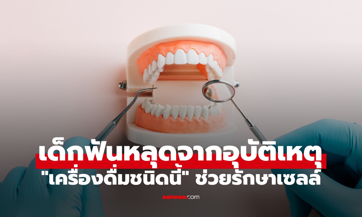 วิธีช่วยเหลือเด็กฟันหลุด "เครื่องดื่มชนิดนี้" รักษาเซลล์ไม่ให้ตาย ต่อฟันแท้กลับคืนได้