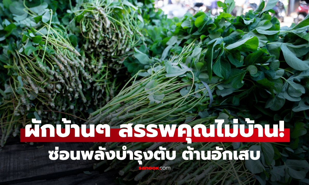 กูรูแนะ 1 ผักราคาถูก คนมองข้ามแต่ประโยชน์ล้น บำรุงตับ ต้านอักเสบ แค่ปรุงให้ถูกวิธี