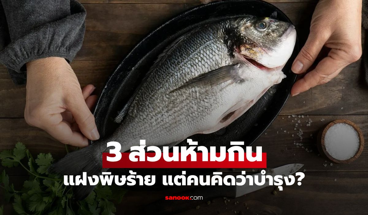 หยุดกินด่วน! 3 ส่วนของ "ปลา" แฝงพิษร้ายแรง ชิ้นแรกมีพิษสูง แต่คนเข้าใจผิดว่าบำรุง