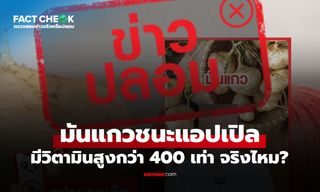 "มันแกว" มีวิตามินสูงกว่า "แอปเปิล" 400 เท่า จริงหรือไม่? : เช็กข่าวชัวร์