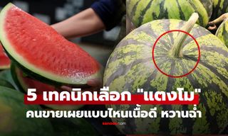 ไม่ต้องเคาะสุ่ม! คนขายเผย 5 เทคนิกเลือกแตงโม สังเกตตามนี้รับรอง เนื้อดี หวานฉ่ำ