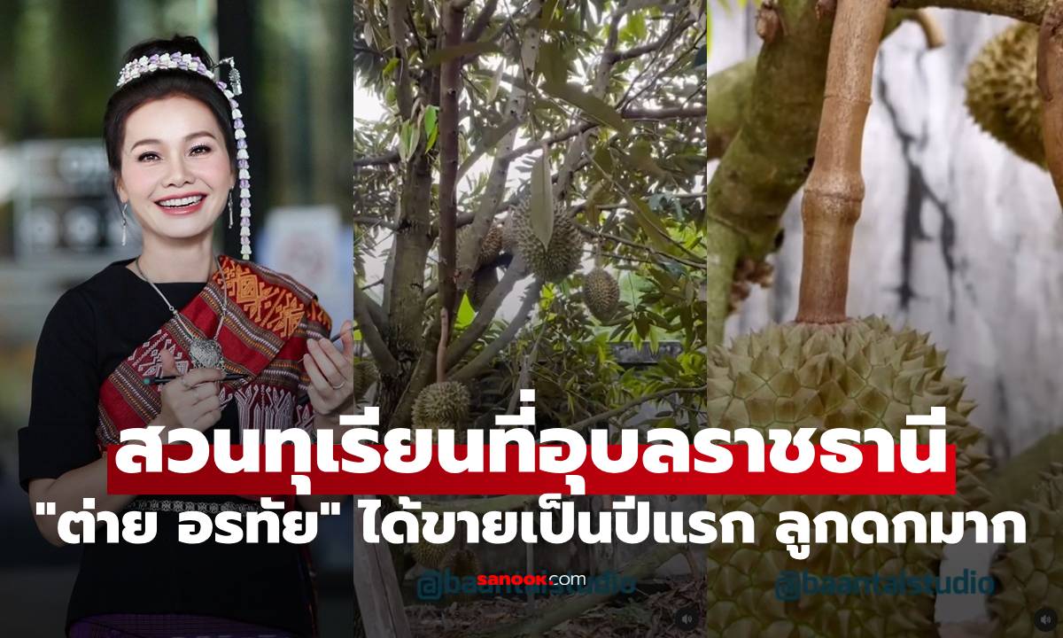 "ต่าย อรทัย" เปิดภาพสวนทุเรียนที่อุบลราชธานี ได้ขายเป็นปีแรก ลูกดกมาก