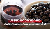 ชายวัย 47 กินถั่วดำทุกมื้อ หลายเดือน โปรตีนไม่เคยขาด ผลตรวจสุขภาพพบสิ่งเกินคาดกับ 1 อวัยวะ!