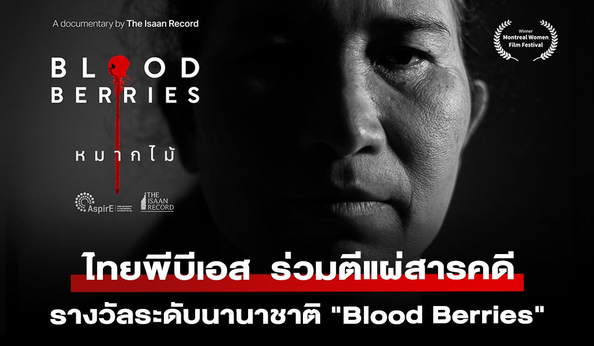 ไทยพีบีเอส ร่วมตีแผ่ขยายผลสารคดีรางวัลระดับนานาชาติ "Blood Berries"