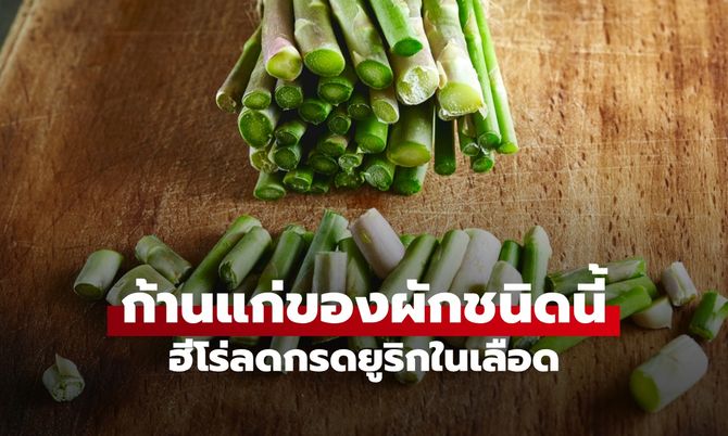 ศัตรูโรคเกาต์! ก้านแก่ๆ ของผัก 1 ชนิด หลายคนหั่นทิ้ง ฮีโร่ลดกรดยูริกในเลือด