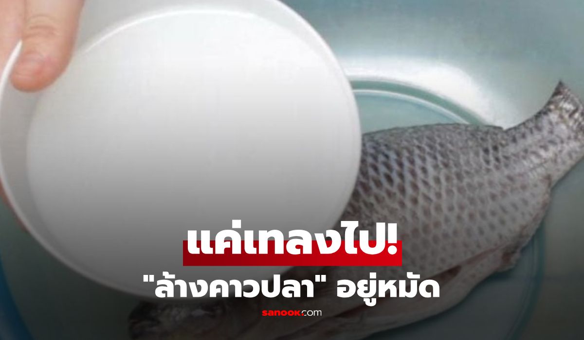 ทริคลับ! แค่เทสิ่งนี้ลงไป "ล้างคาวปลา" ดับกลิ่นสนิท-เนื้อเด้งหอมฟุ้ง เมนูไหนก็อร่อยชื่นใจ