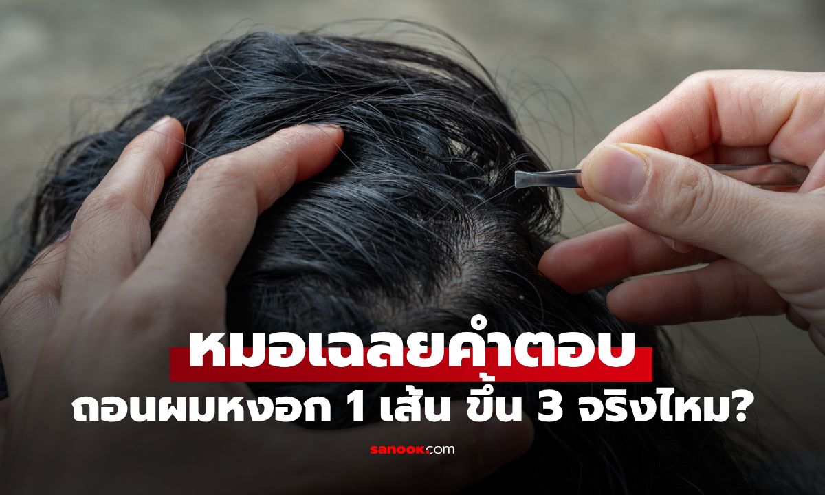 หมอเฉลยแล้ว! ความเชื่อโบราณ "ถอนผมหงอก 1 เส้น ขึ้นเพิ่ม 3 เส้น" จริงหรือมั่ว?