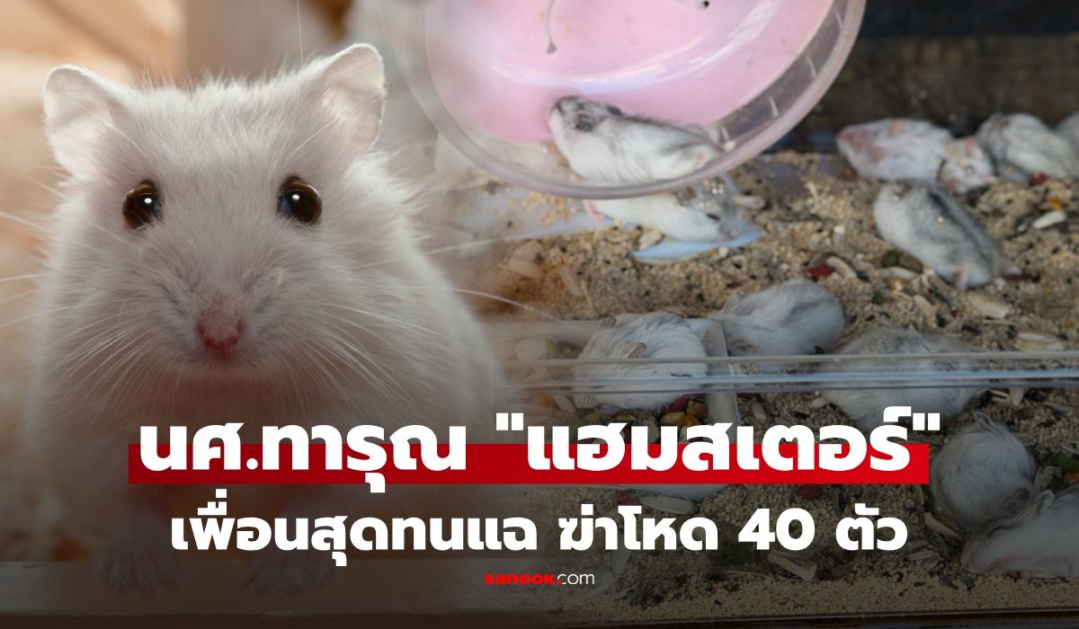 รูมเมทสุดทน! แฉเพื่อนทารุณ "แฮมสเตอร์" 40 ตัว ในหอพัก วิธีการสุดโหด