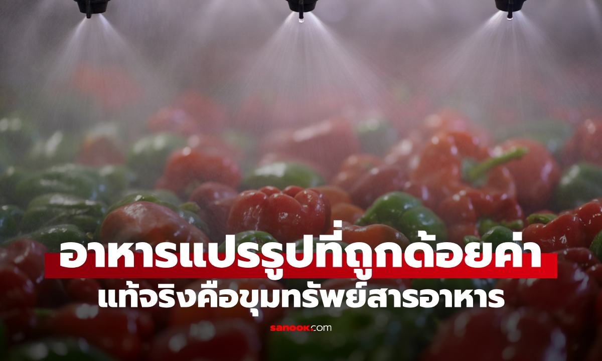 2 อาหารแปรรูปที่ถูก "ด้อยค่า" คิดว่าดีสู้ของสดไม่ได้ แท้จริงคือขุมทรัพย์สารอาหาร