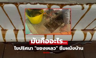 ผนังบ้านมี "ของเหลวปริศนา" ไหลไม่หยุด คู่รักรื้อฝ้าออกดู ถึงกับช็อกสิ่งที่ซ่อนอยู่ข้างใน!