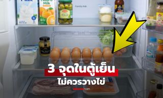 ไม่ใช่แค่ฝาประตู! 3 จุดในตู้เย็น "ห้ามวางไข่" คนส่วนใหญ่ยังทำผิด เน่าเสียไว-เชื้อราขึ้น