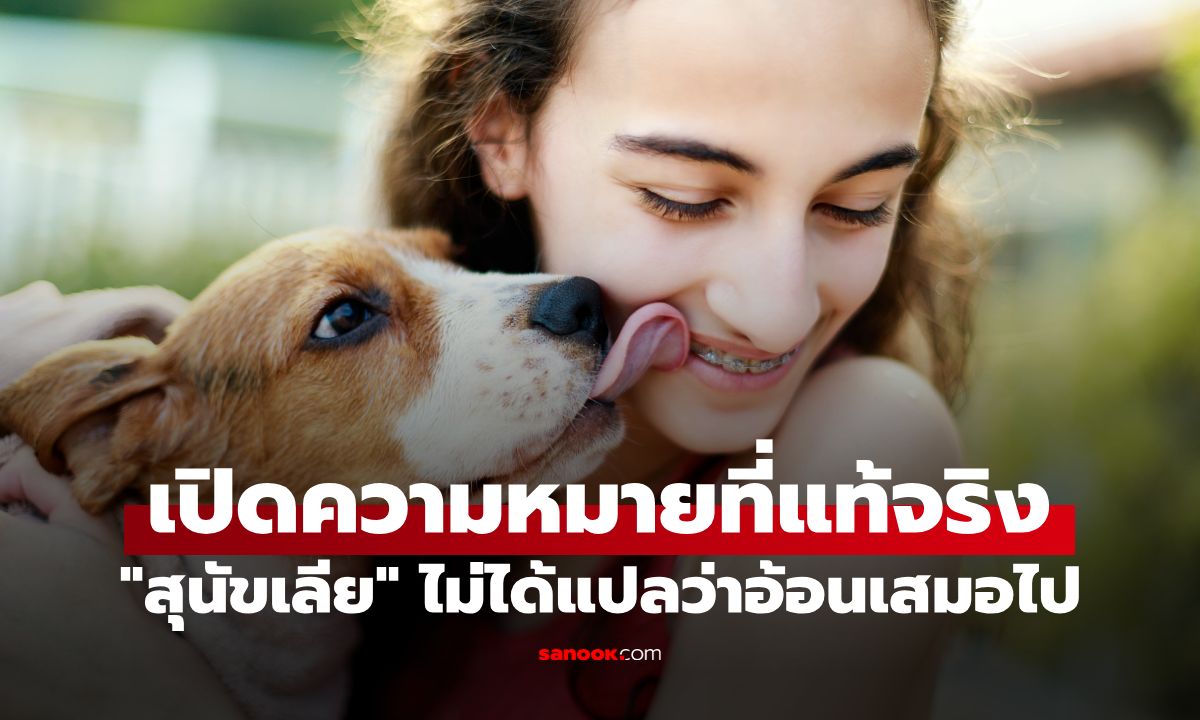 สุนัขเลียเจ้าของไม่ได้แปลว่าอ้อนเสมอไป เปิดความหมายแท้จริง ที่หลายคนเข้าใจผิด