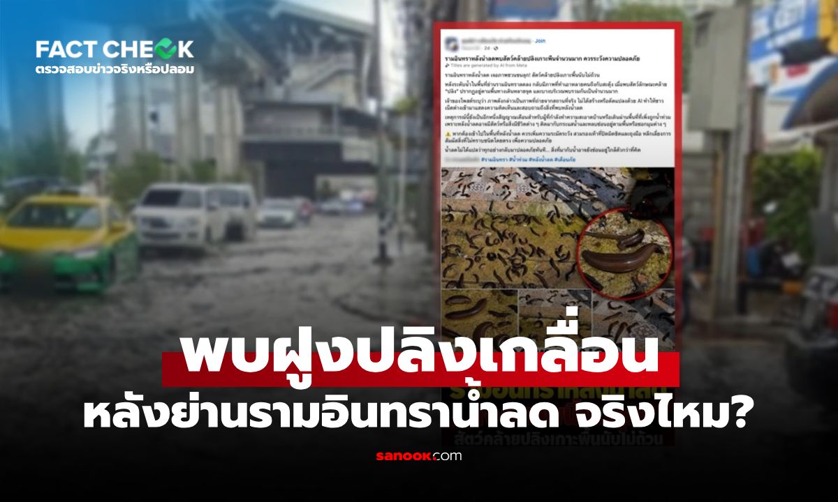พบฝูงปลิงเกาะอยู่ตามพื้นทางเดิน ย่านรามอินทราหลังน้ำลด จริงไหม? : เช็กข่าวชัวร์