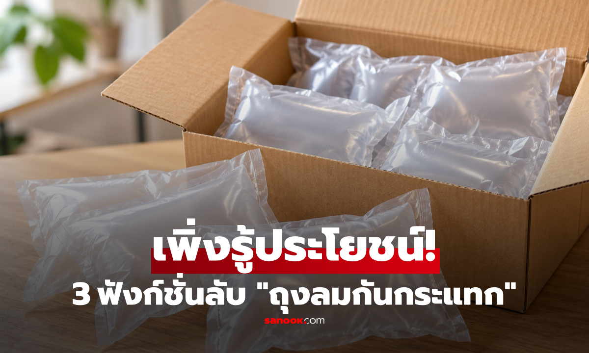 ไม่ใช่ขยะ! กูรูเผย 3 ฟังก์ชั่น "ถุงลมกันกระแทก" ในกล่องพัสดุ ที่ใช้งานได้จริง