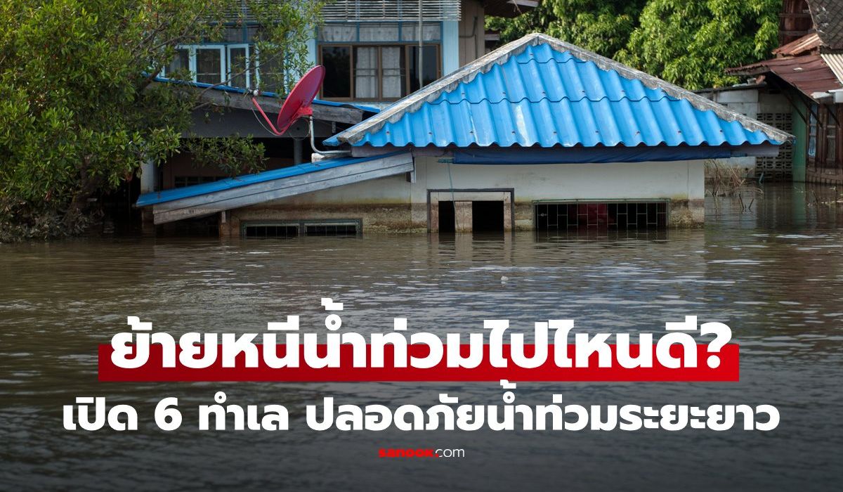 สุดทนน้ำท่วมไปอยู่ไหนดี? เปิด 6 ทำเล "นักวิชาการสิ่งแวดล้อม" แนะย้ายหนีน้ำ ปลอดภัยระยะยาว