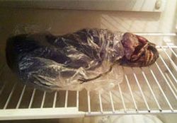ฮือฮา! หญิงรัสเซียจับร่างเอเลี่ยนแช่ในตู้เย็น