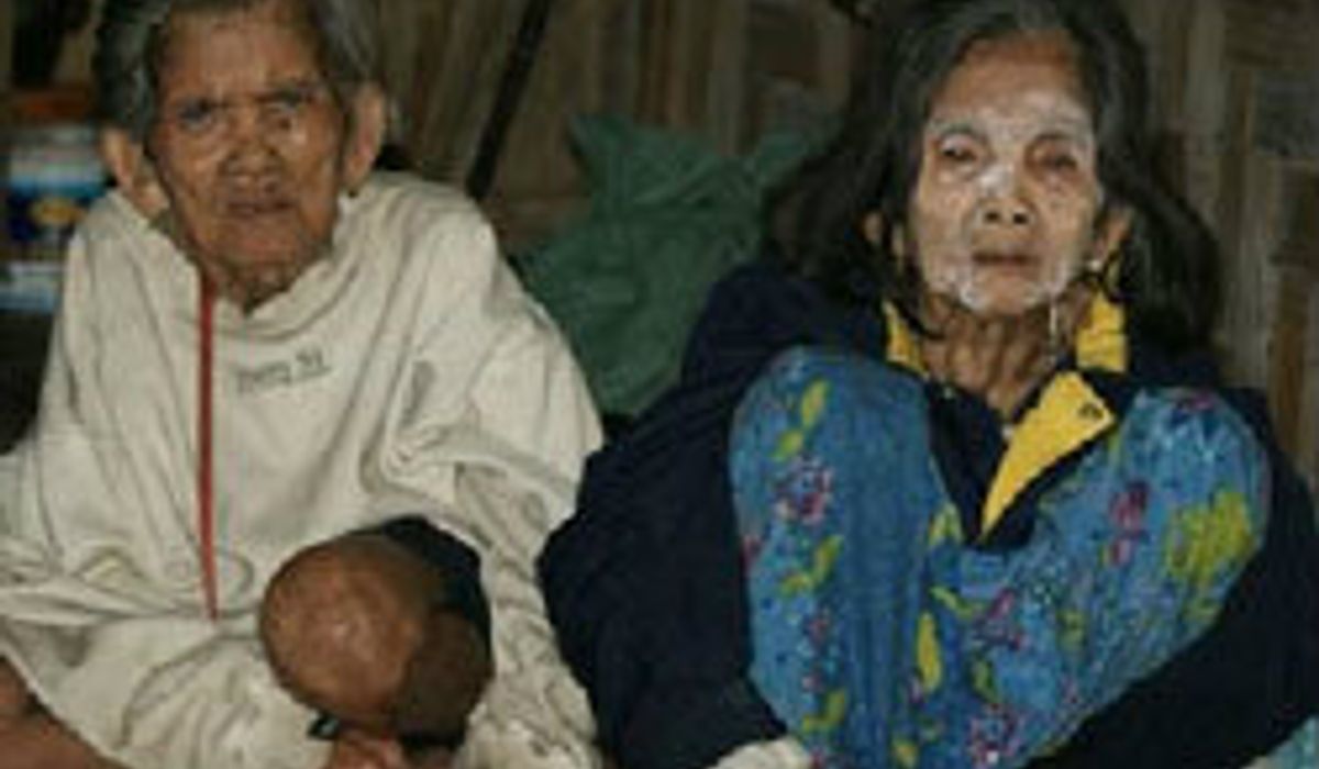 สิ้นแล้ว! ยายกินแมลงสาบ หนูประทังชีวิต