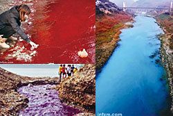 เยอะมาก! แม่น้ำเปลี่ยนสีที่จีน