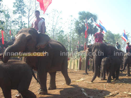ชนเผ่าชาวปากะญอจัดงานวันอนุรักษ์ช้างไทย