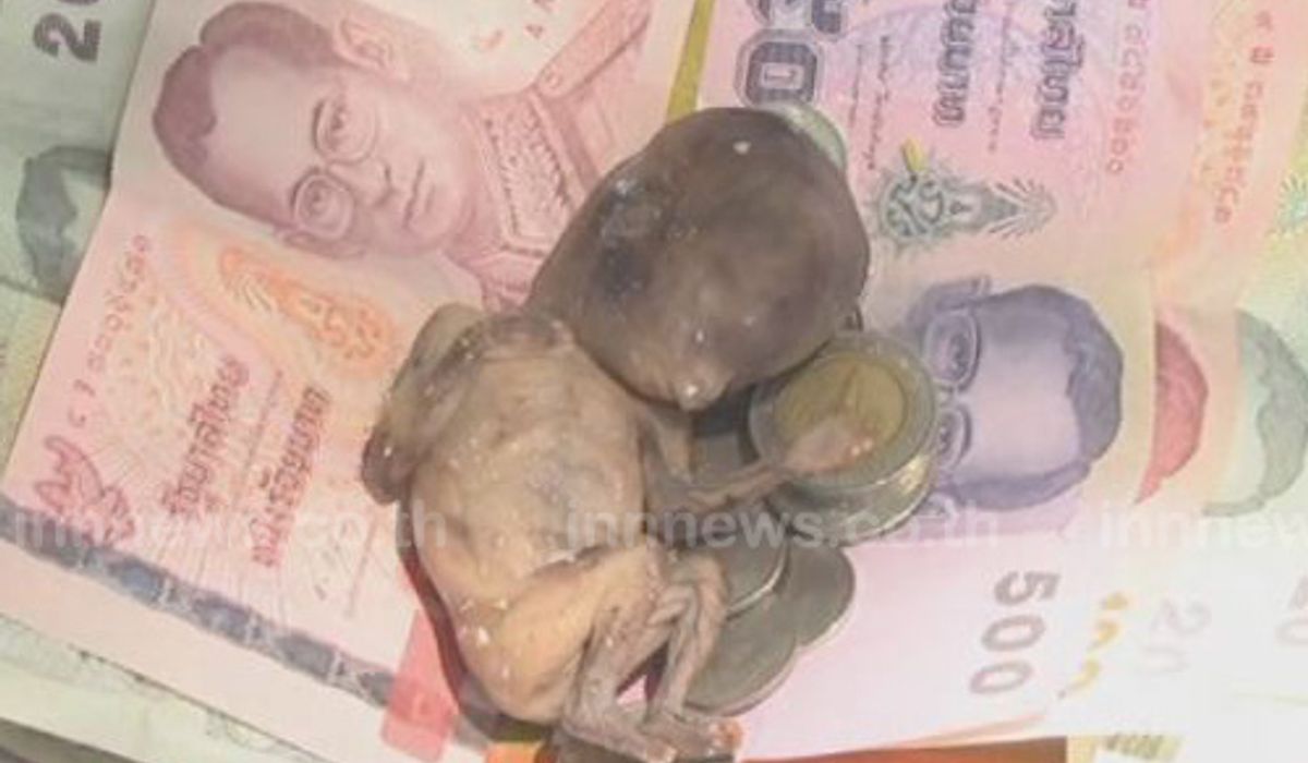 พบศพทารกไม่เน่าเปื่อยถูกฝังเก็บไว้ในป่าช้า