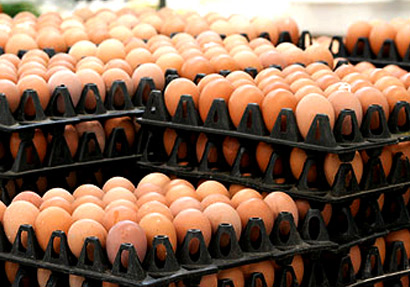 ไข่ตลาดสดอ่างทองแพงขึ้น-4.50/ฟอง