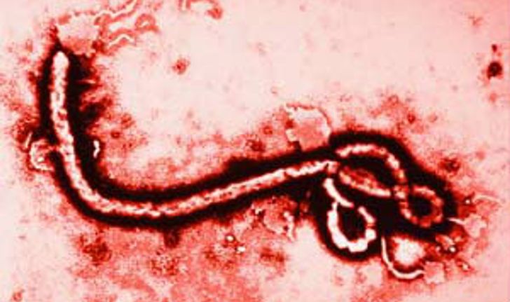 สธ.แถลงกรณีข่าวลือพบผู้ป่วยอีโบล่าในไทย
