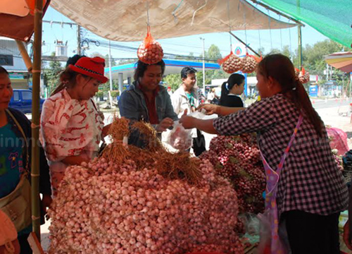 คนแห่ซื้อหอมแดง4โล100บาทฝากญาติ