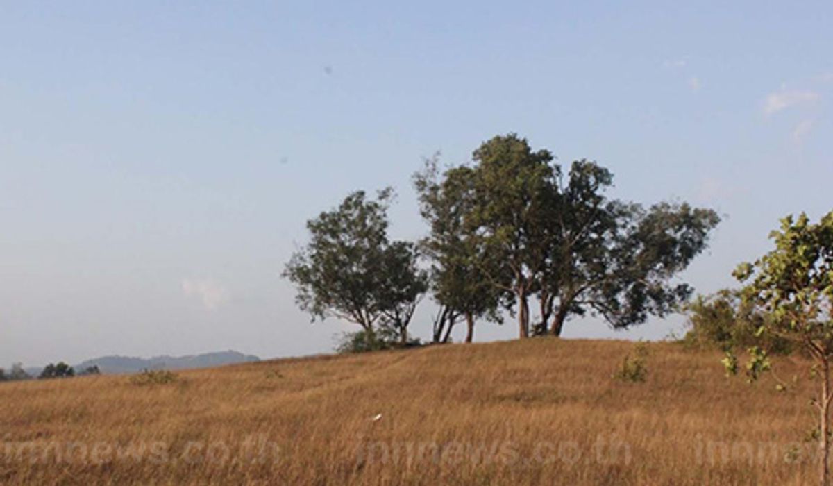 ระนองแห้งแล้งทำให้ภูเขาหญ้าสวยงาม