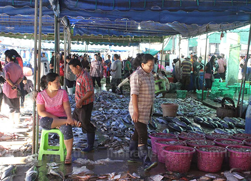 ปิดอ่าวไทยทำตลาดปลาระนองคึกคัก