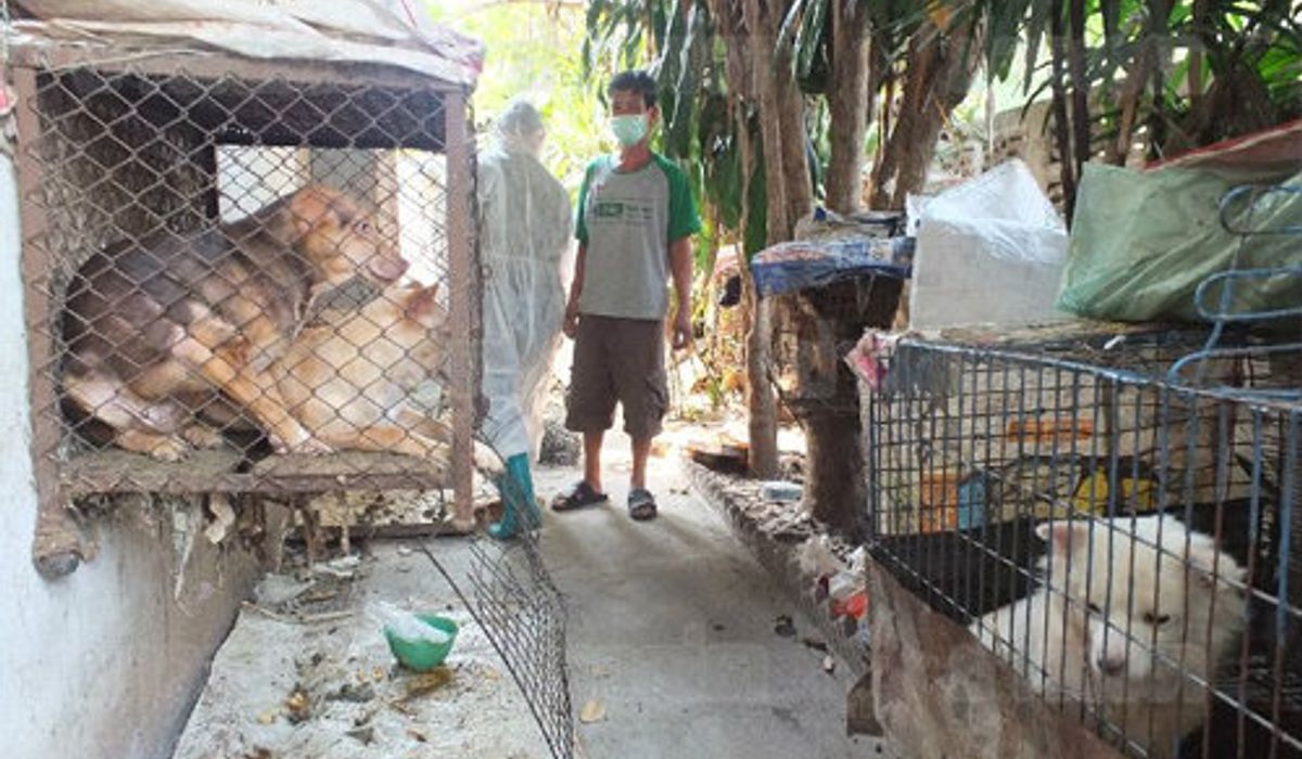 กะเทยสูงวัยขังหมาทารุณนับร้อย อ้างถูกตัดน้ำไฟ