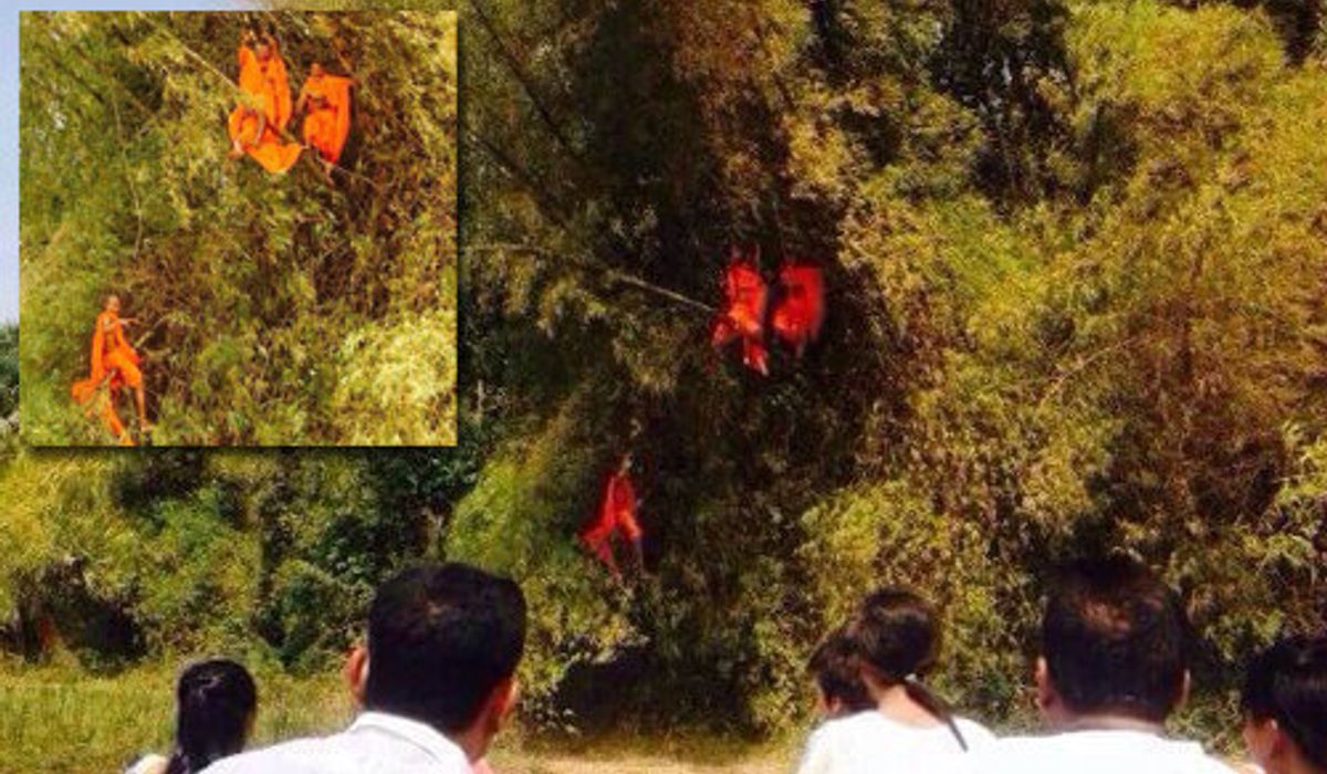 แชร์ว่อนพระติดบนกอไผ่ ที่แท้ถ่ายหนังกัมพูชา