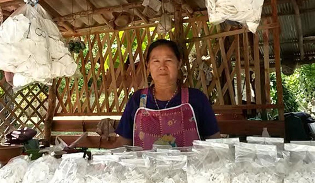 หัวกลอยสร้างรายได้ให้ชาวบ้านไทรย้อย
