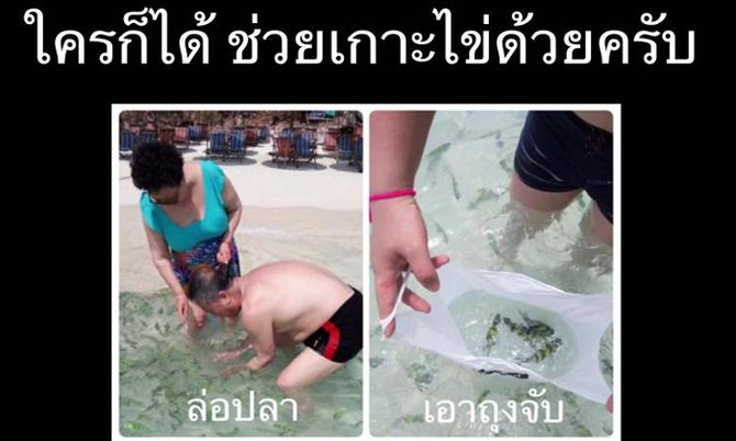 แห่แชร์ภาพนักท่องเที่ยวจีน จับปลาใส่ถุงที่พังงา