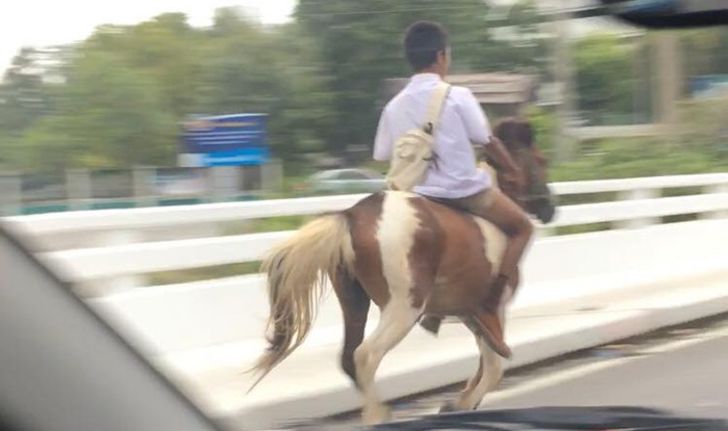 ชาวเน็ตอึ้ง! เด็กขี่ม้าไปเรียน ได้ฉายา "สุดสาครยุค 2016"