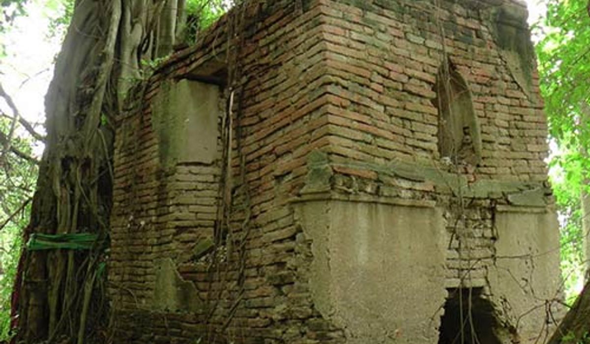 พบวัดร้างอ่างทองกลางป่ารกอายุหลายร้อยปี