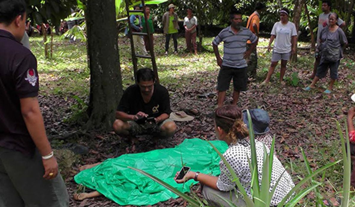 หญิงชุมพรวัย58ปีเก็บมังคุดพลัดตกเสียชีวิต