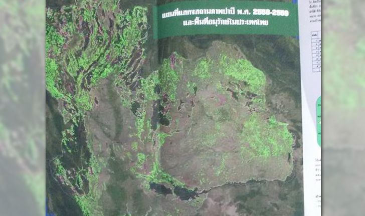 แชร์กระหึ่ม แผนที่โชว์ผืนป่าเมืองไทย เหลืออยู่แค่ 32%