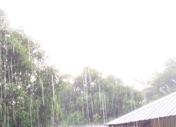 เหนืออีสานตอ.ใต้ฝนตกหนักกทม.ฝน80%