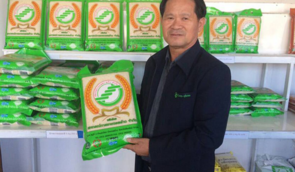 เชียงใหม่รับซื้อข้าวชาวนาตันละ13,000บาท