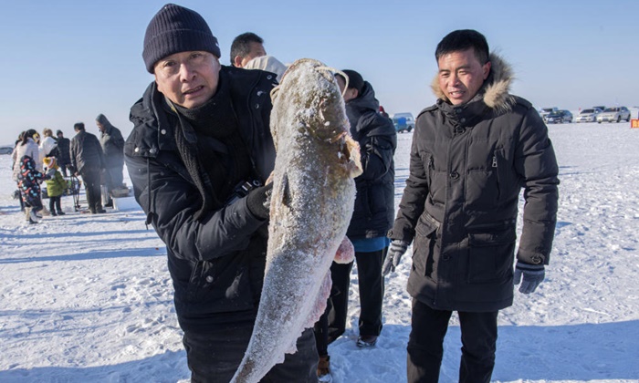 เริ่มกันแล้ว! เทศกาลจับปลาฤดูหนาวที่ทะเลสาบฉากัน ประเทศจีน