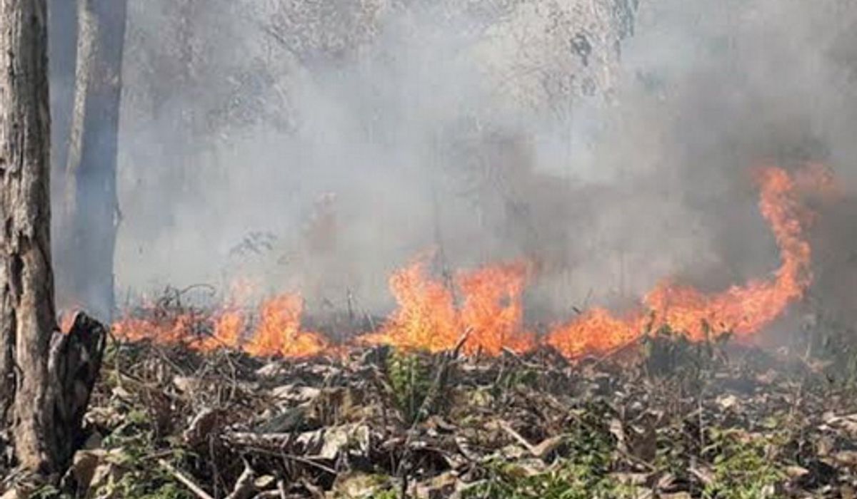 เพชรบูรณ์-ไฟป่าหวิดเผาวอดทั้งสถานีอนามัย