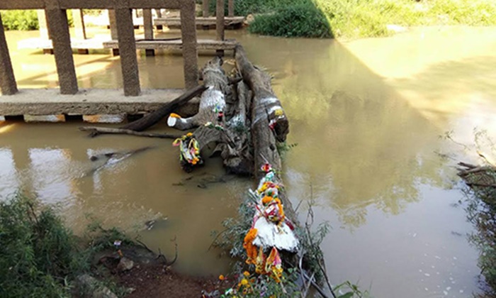 หวยเจ้าแม่ตะเคียนปราจีนบุรีแม่น ชาวบ้านถูกทั้งตลาด