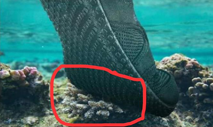 อ.ธรณ์ ปรี๊ด โฆษณาขายรองเท้าใช้ภาพเหยียบปะการัง