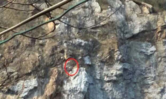 ชุลมุน! กู้ภัยช่วยชายปีนผาท้าทายตัวเอง แต่ลงไม่ได้ นานนับ 3 ชั่วโมง