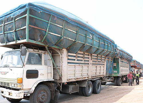 ขนส่งกาฬสินธุ์จับรถบรรทุกแกลบผิดกฎหมาย