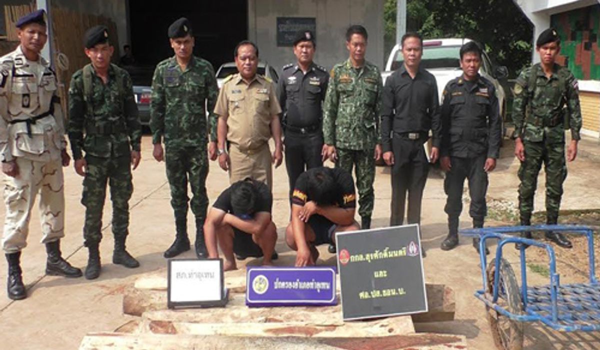 ทหารนครพนมรวบสองหนุ่มรับจ้างขนไม้พะยูง